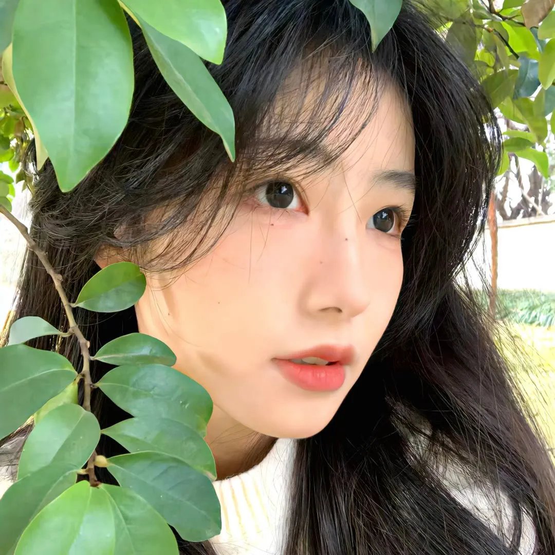 信任之剑